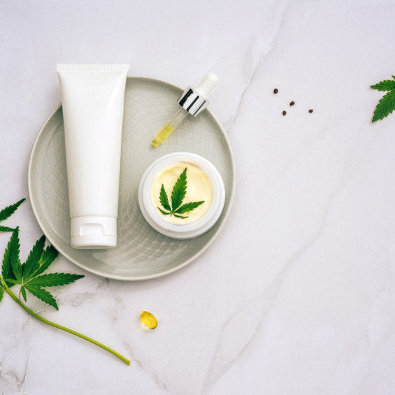 Comment choisir un fournisseur de CBD en gros pour optimiser votre activité ?
