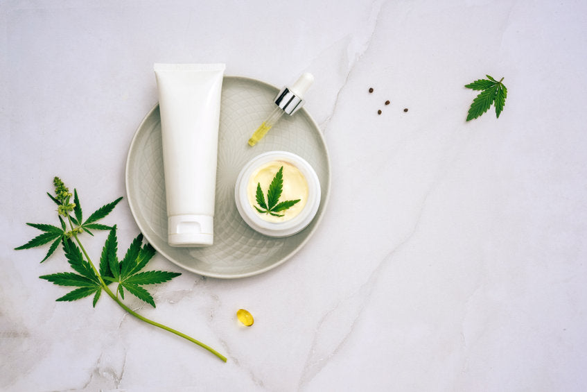 Comment choisir un fournisseur de CBD en gros pour optimiser votre activité ?